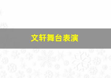 文轩舞台表演