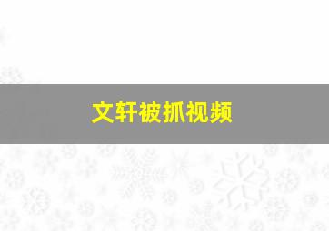 文轩被抓视频