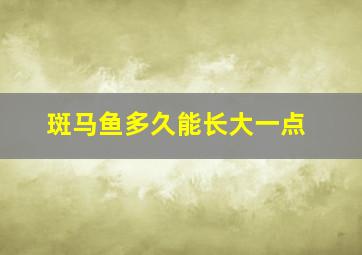 斑马鱼多久能长大一点