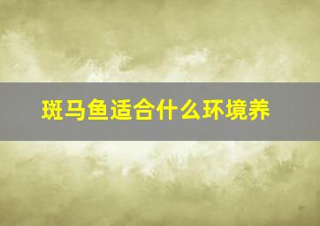 斑马鱼适合什么环境养