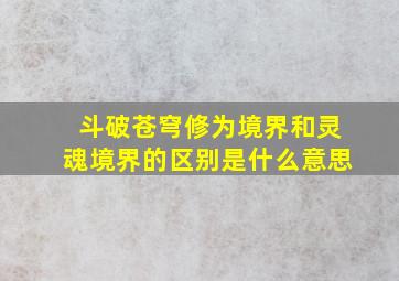 斗破苍穹修为境界和灵魂境界的区别是什么意思