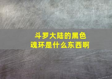 斗罗大陆的黑色魂环是什么东西啊