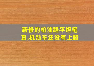 新修的柏油路平坦笔直,机动车还没有上路