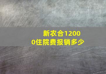 新农合12000住院费报销多少