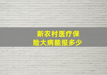 新农村医疗保险大病能报多少