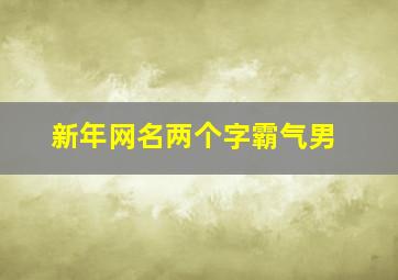 新年网名两个字霸气男