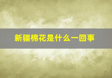 新疆棉花是什么一回事