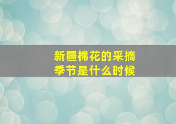 新疆棉花的采摘季节是什么时候