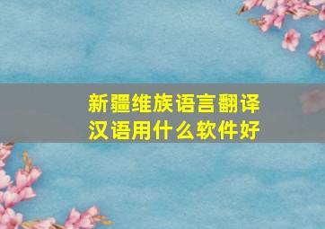 新疆维族语言翻译汉语用什么软件好