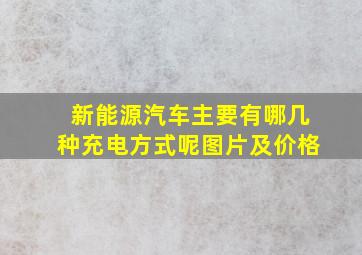 新能源汽车主要有哪几种充电方式呢图片及价格