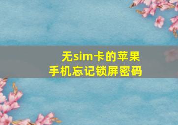 无sim卡的苹果手机忘记锁屏密码