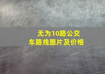 无为10路公交车路线图片及价格