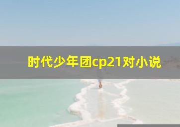 时代少年团cp21对小说