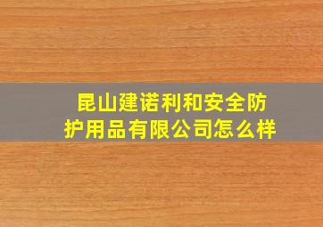 昆山建诺利和安全防护用品有限公司怎么样