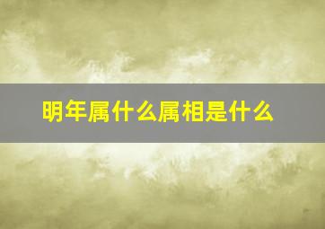 明年属什么属相是什么