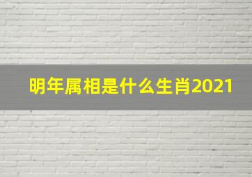 明年属相是什么生肖2021