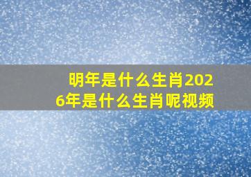 明年是什么生肖2026年是什么生肖呢视频