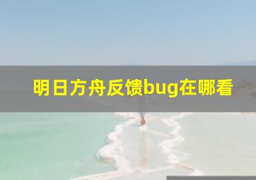 明日方舟反馈bug在哪看