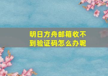 明日方舟邮箱收不到验证码怎么办呢