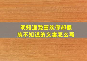 明知道我喜欢你却假装不知道的文案怎么写