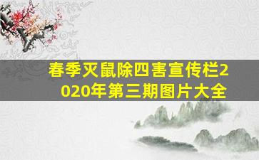 春季灭鼠除四害宣传栏2020年第三期图片大全