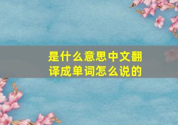 是什么意思中文翻译成单词怎么说的