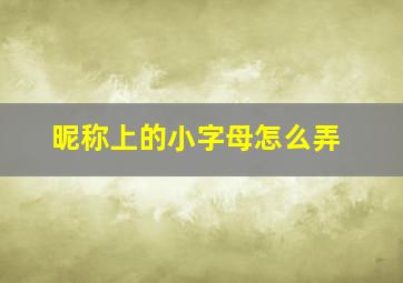 昵称上的小字母怎么弄