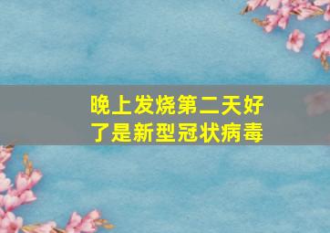 晚上发烧第二天好了是新型冠状病毒