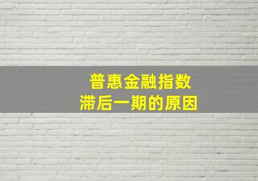 普惠金融指数滞后一期的原因