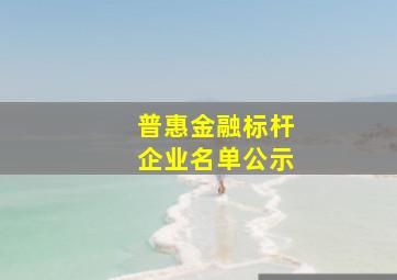 普惠金融标杆企业名单公示