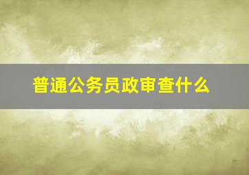 普通公务员政审查什么