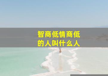 智商低情商低的人叫什么人