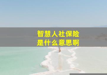 智慧人社保险是什么意思啊