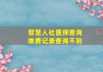 智慧人社医保查询缴费记录查询不到