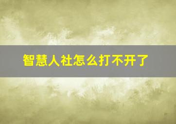 智慧人社怎么打不开了