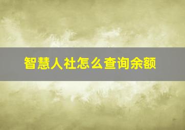 智慧人社怎么查询余额