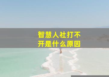 智慧人社打不开是什么原因