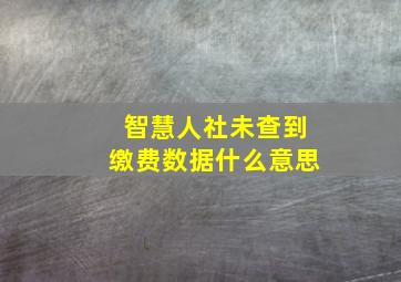 智慧人社未查到缴费数据什么意思