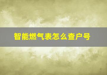 智能燃气表怎么查户号