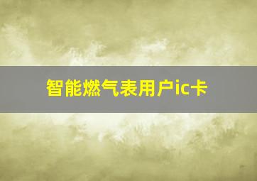 智能燃气表用户ic卡