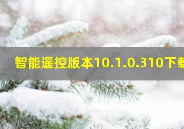 智能遥控版本10.1.0.310下载