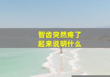 智齿突然疼了起来说明什么