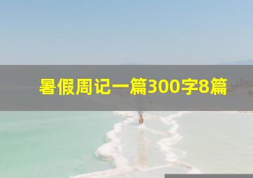 暑假周记一篇300字8篇