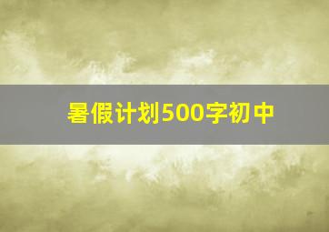 暑假计划500字初中