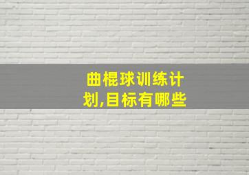 曲棍球训练计划,目标有哪些