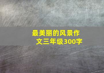 最美丽的风景作文三年级300字