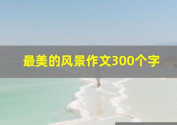 最美的风景作文300个字