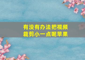 有没有办法把视频裁剪小一点呢苹果