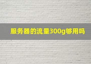 服务器的流量300g够用吗