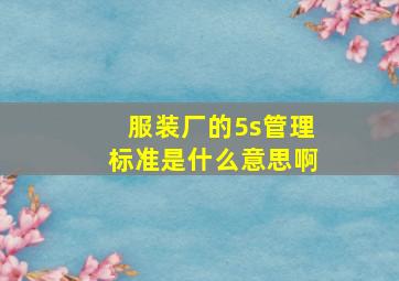 服装厂的5s管理标准是什么意思啊